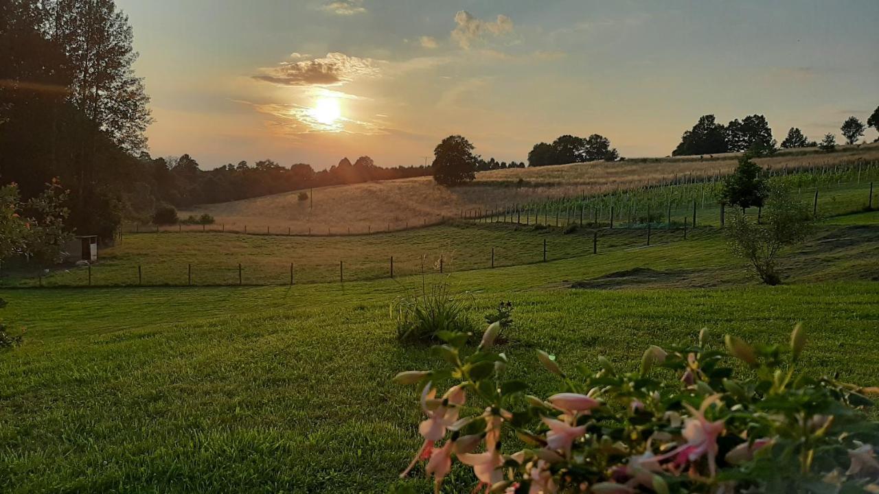 Agroturystyka Kruk Mirsk Esterno foto