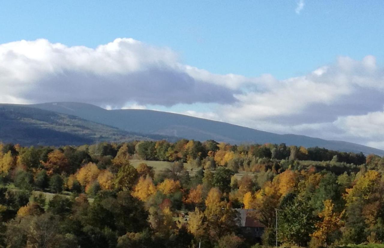 Agroturystyka Kruk Villa Mirsk Esterno foto